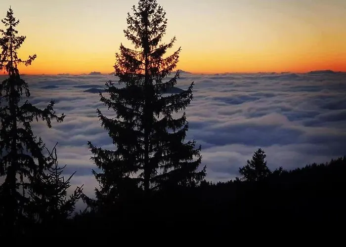 Apartment гранд манастира частен